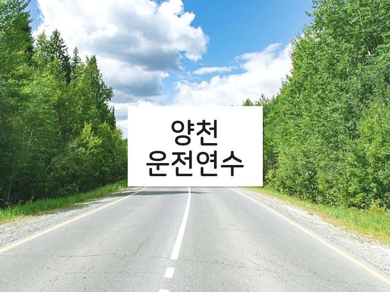 양천운전연수 후기