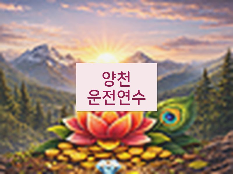양천운전연수 후기