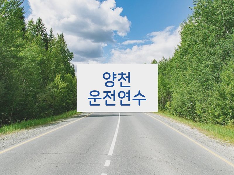 양천운전연수 후기