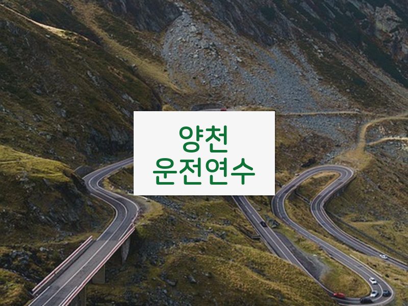 양천운전연수 후기