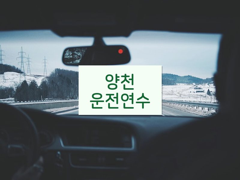 양천운전연수 후기