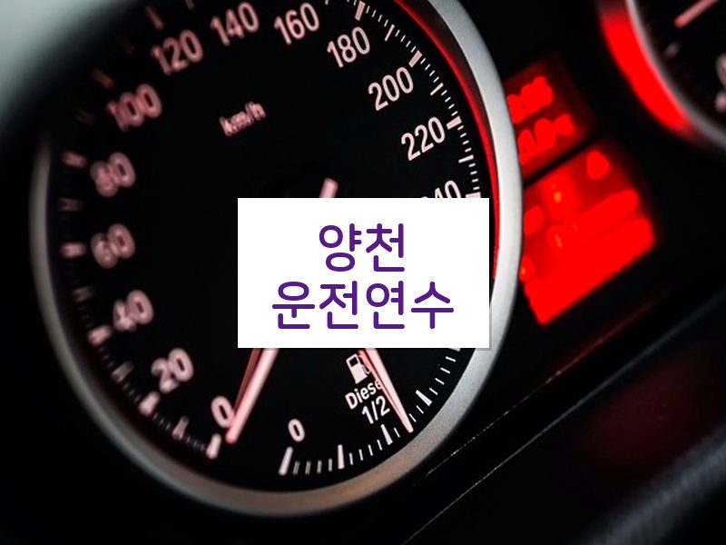 양천운전연수 후기