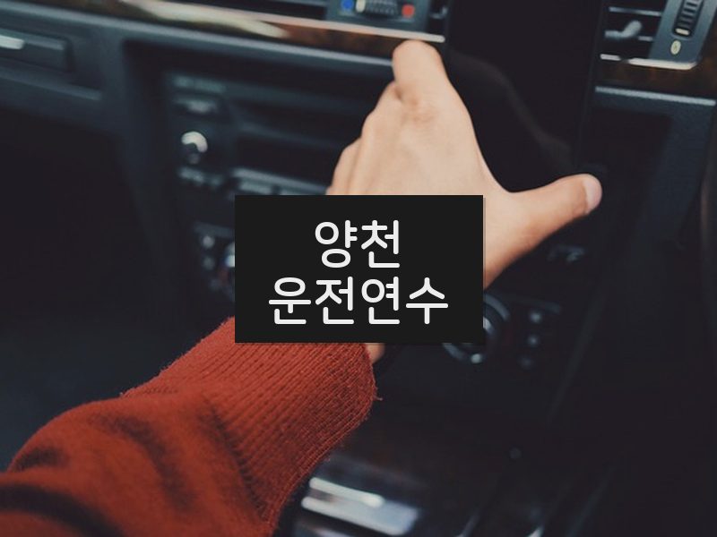양천운전연수 후기