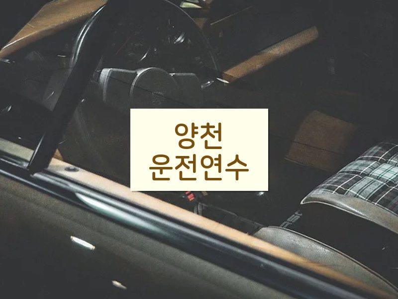 양천운전연수 후기