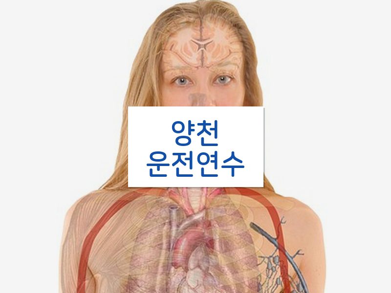 양천운전연수 후기