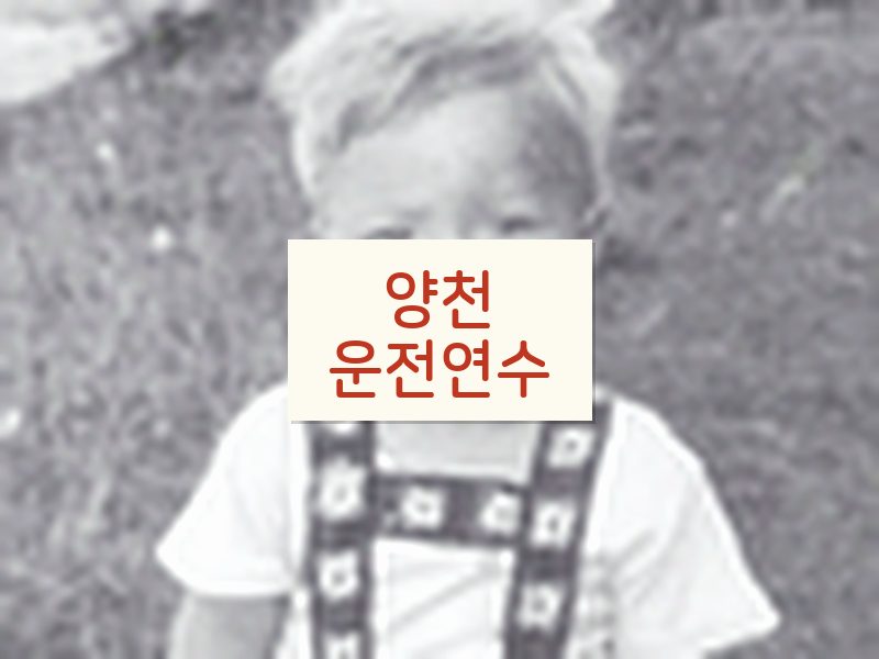 양천운전연수 후기