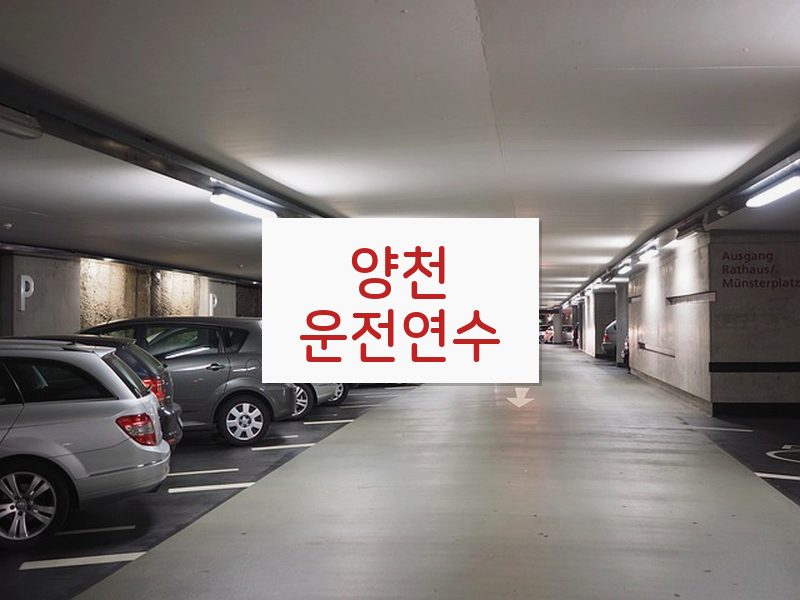 양천운전연수 후기