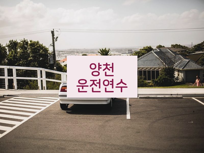 양천운전연수 후기