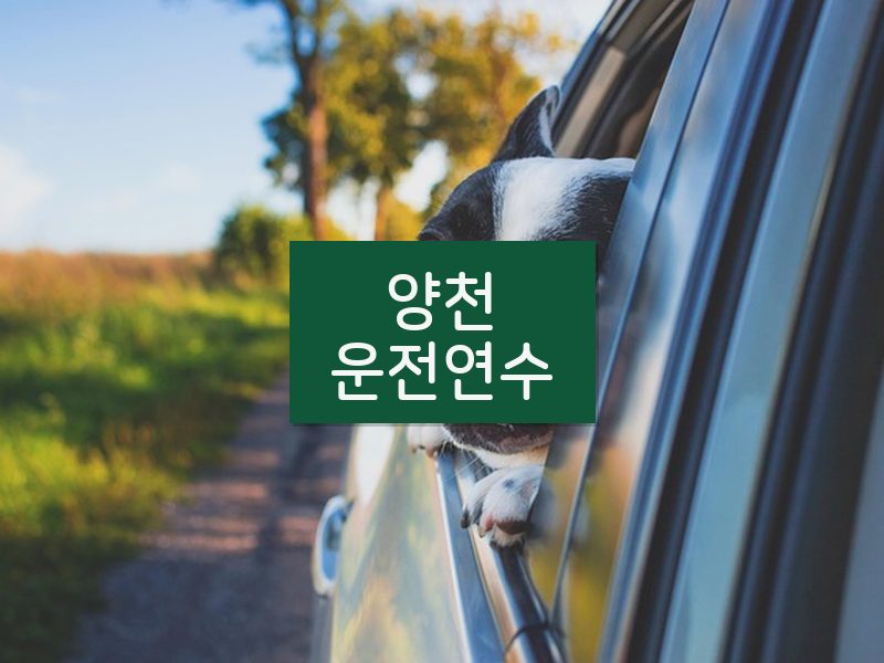 양천운전연수 후기