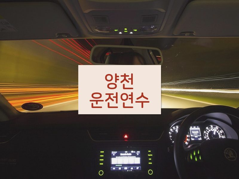 양천운전연수 후기