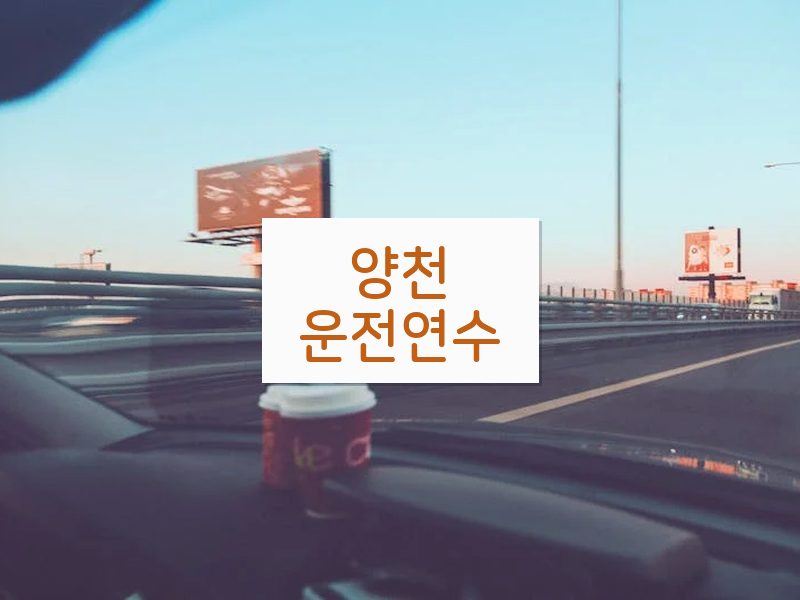 양천운전연수 후기