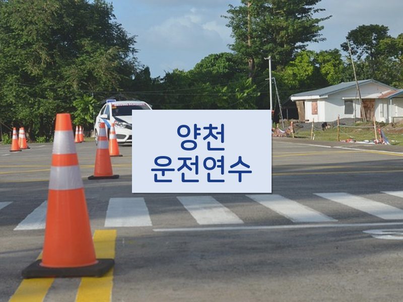 양천운전연수 후기