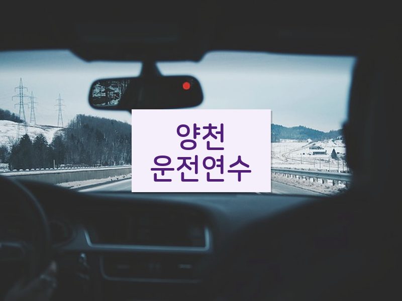양천운전연수 후기