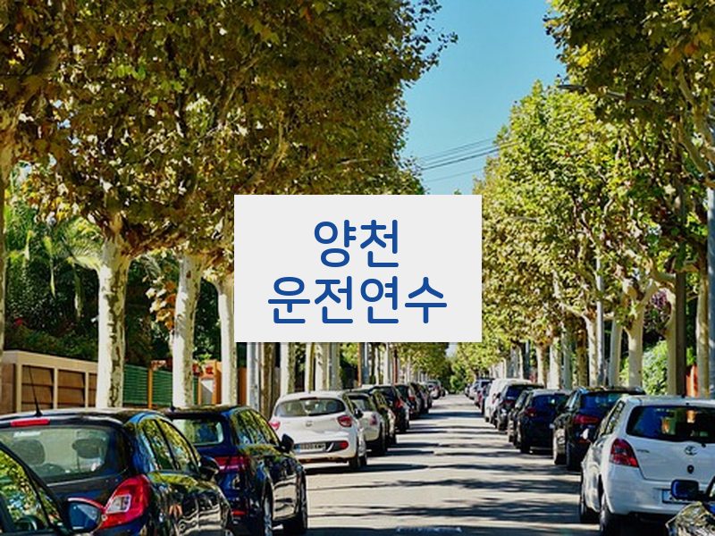 양천운전연수 후기