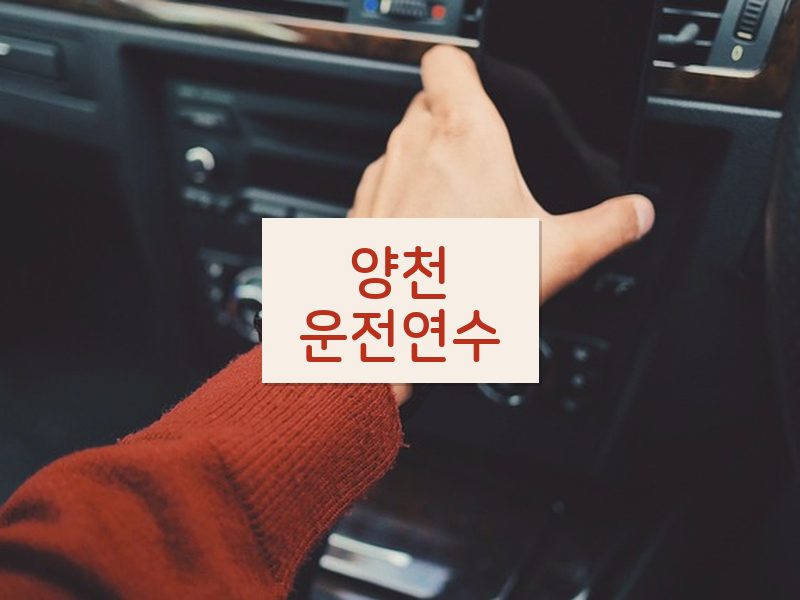 양천운전연수 후기