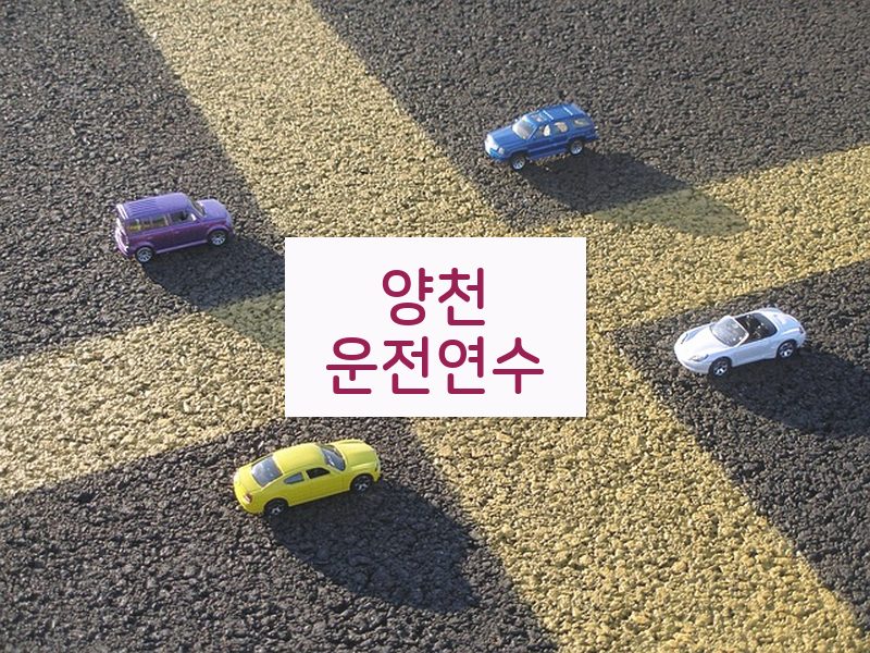 양천운전연수 후기