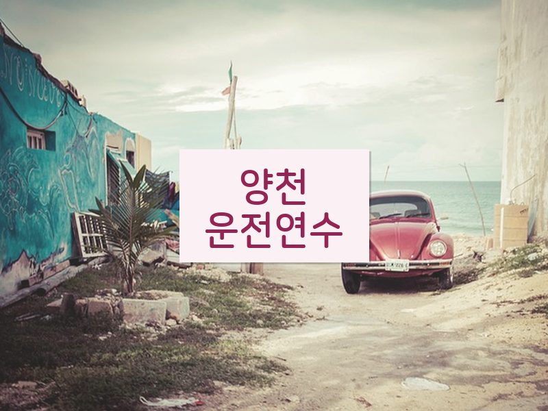 양천운전연수 후기
