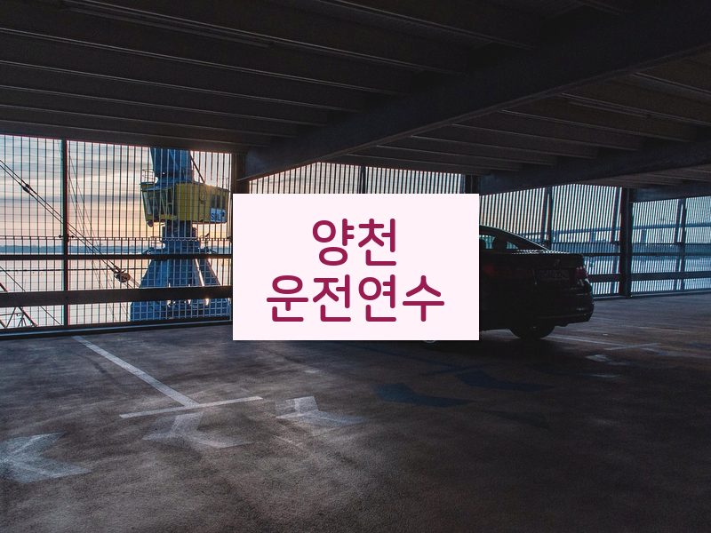 양천운전연수 후기