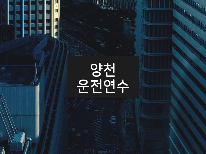 양천운전연수 후기