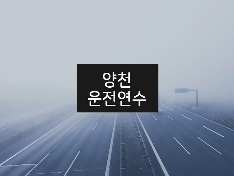 양천운전연수 후기