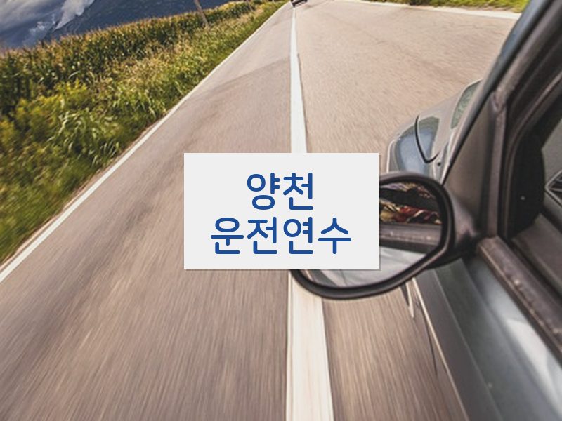 양천운전연수 후기