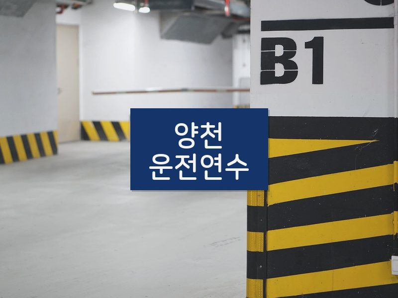 양천운전연수 후기