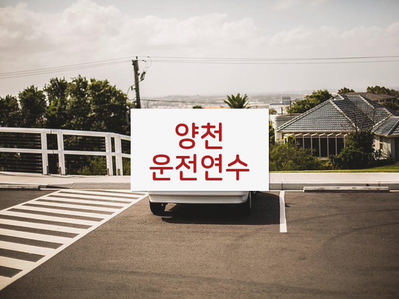 양천운전연수 후기