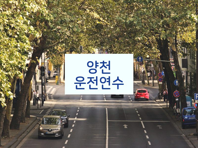 양천운전연수 후기
