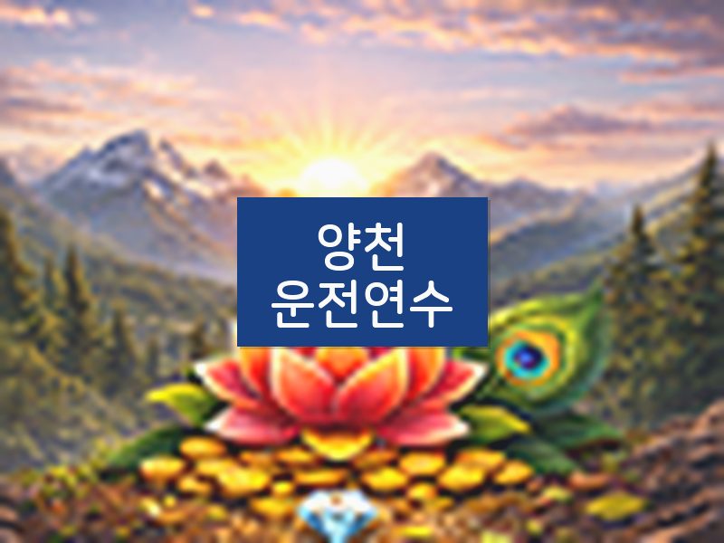 양천운전연수 후기