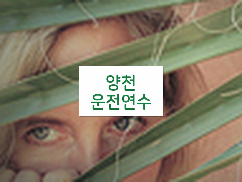 양천운전연수 후기