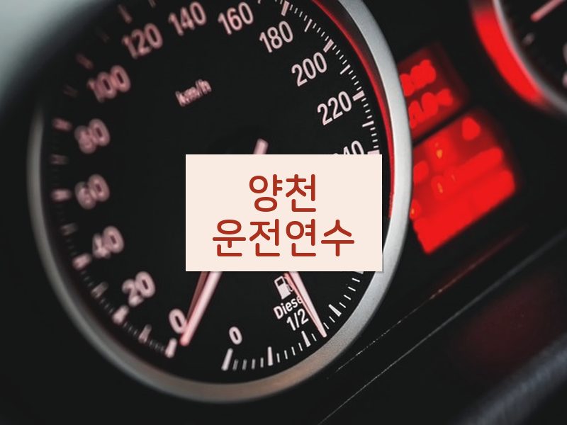 양천운전연수 후기