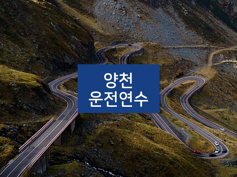 양천운전연수 후기