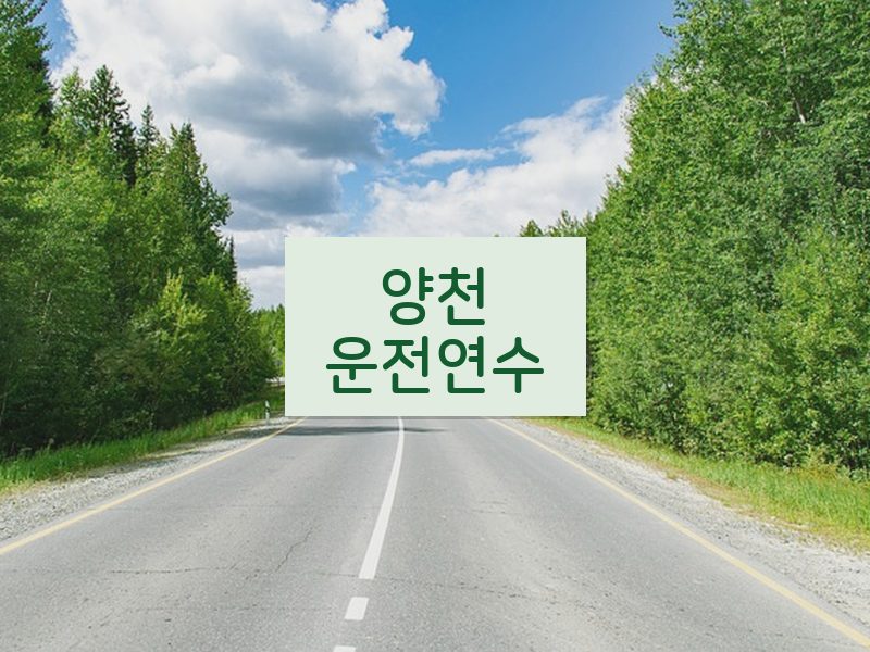 양천운전연수 후기