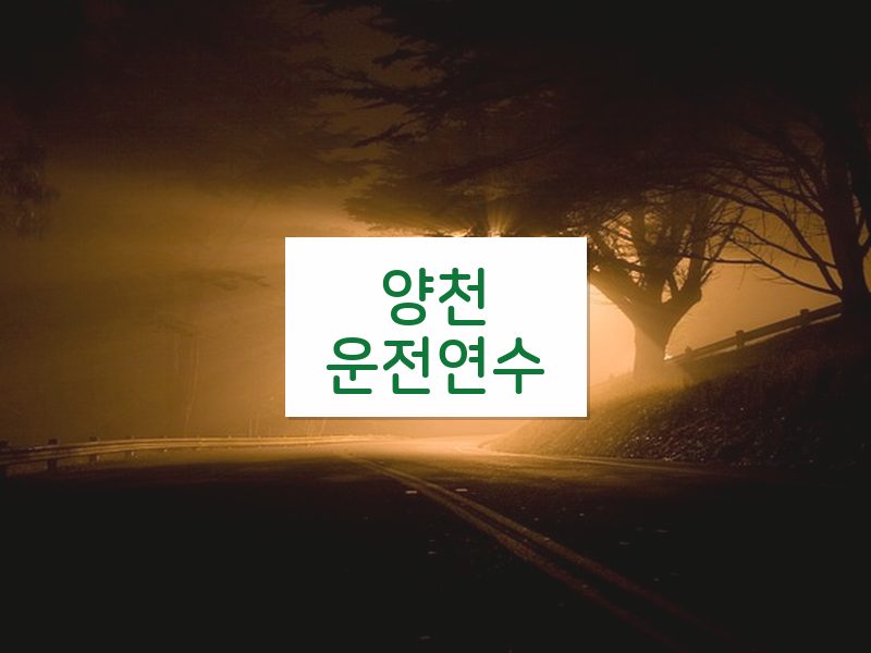 양천운전연수 후기