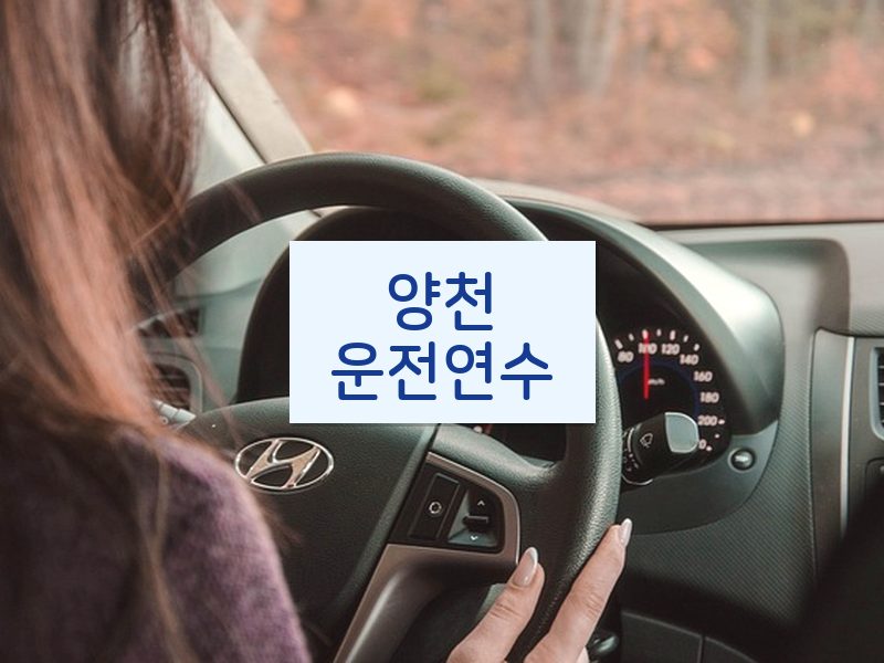 양천운전연수 후기