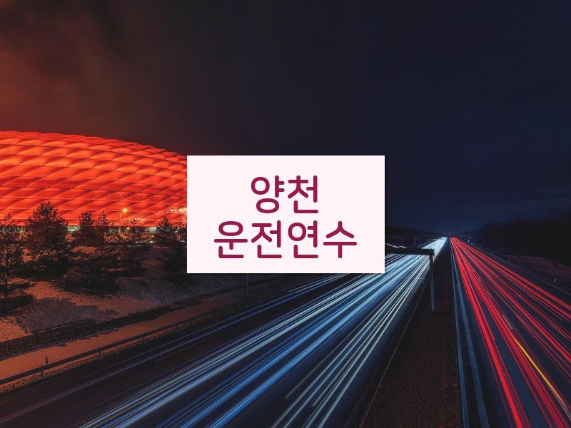 양천운전연수 후기