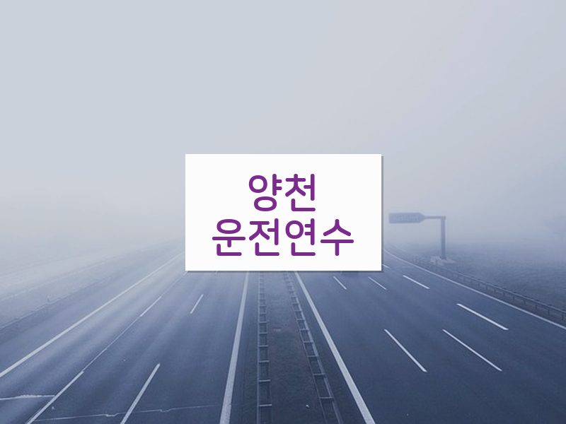 양천운전연수 후기
