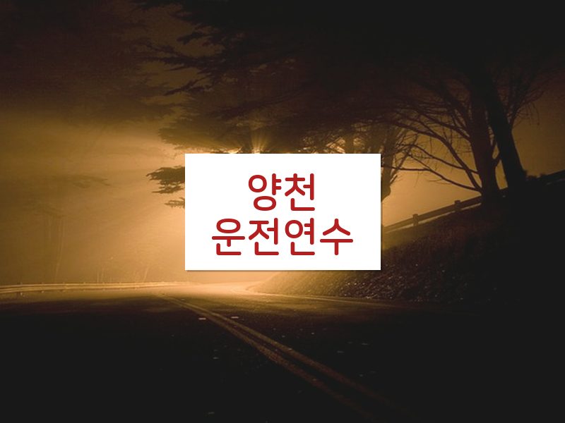 양천운전연수 후기