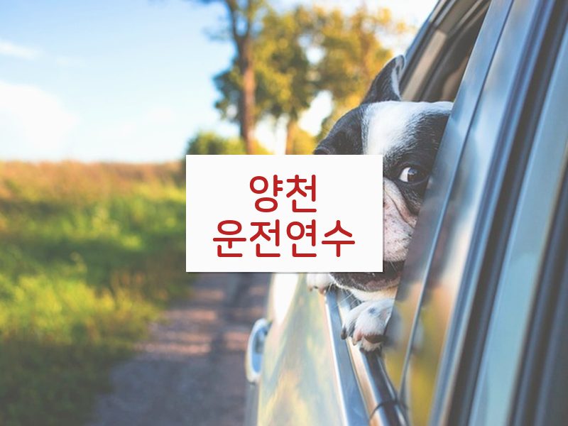양천운전연수 후기