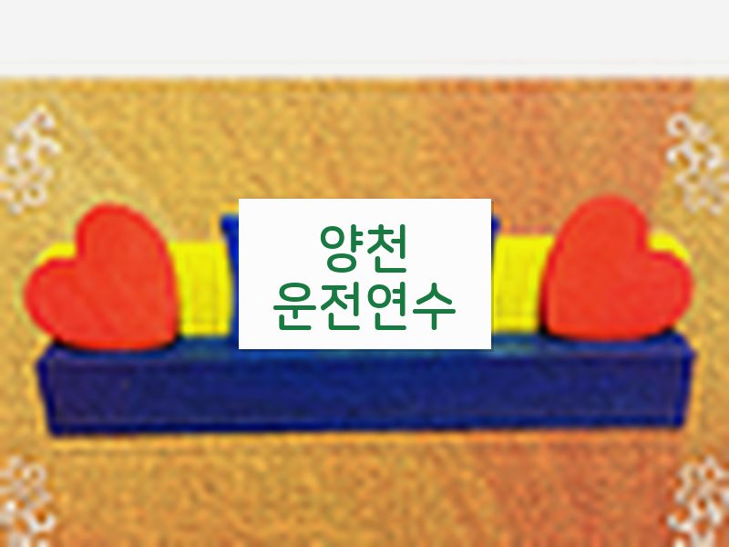 양천운전연수 후기