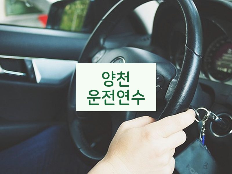 양천운전연수 후기