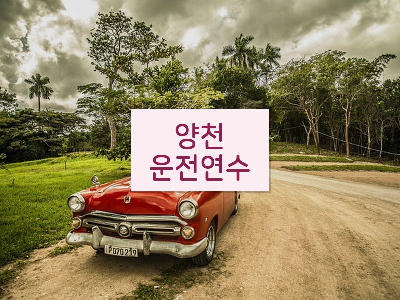 양천운전연수 후기