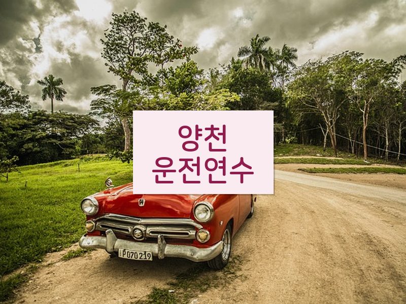 양천운전연수 후기