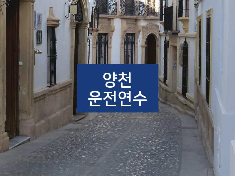 양천운전연수 후기