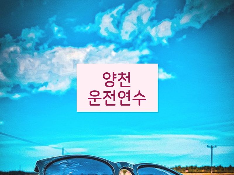 양천운전연수 후기