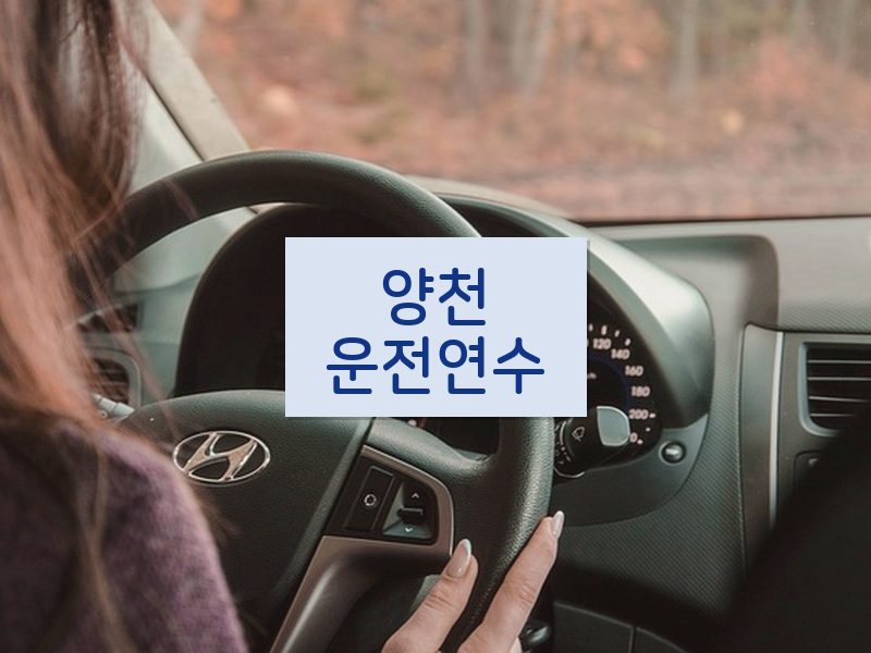 양천운전연수 후기