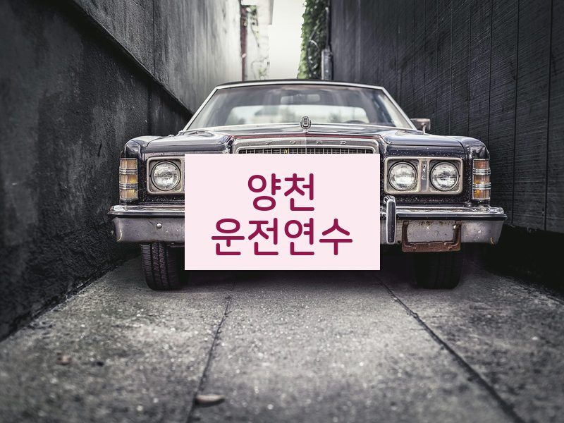 양천운전연수 후기