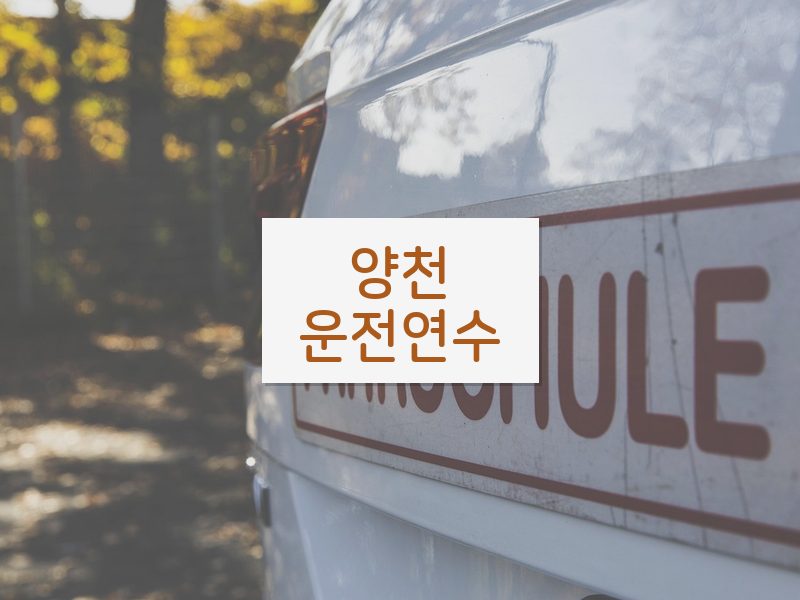 양천운전연수 후기