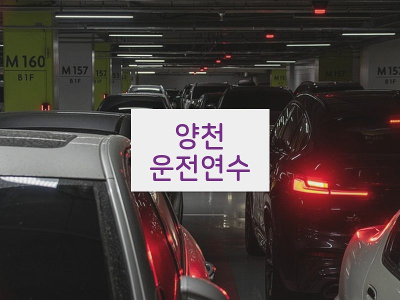 양천운전연수 후기