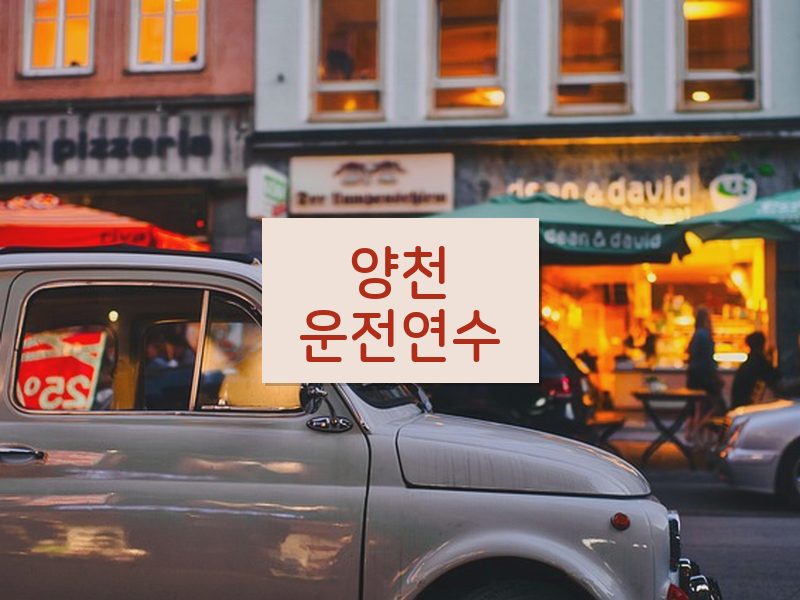 양천운전연수 후기